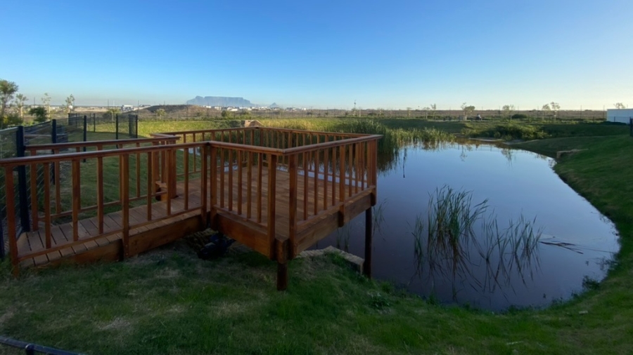To Let 1 Bedroom Property for Rent in Sandown Western Cape